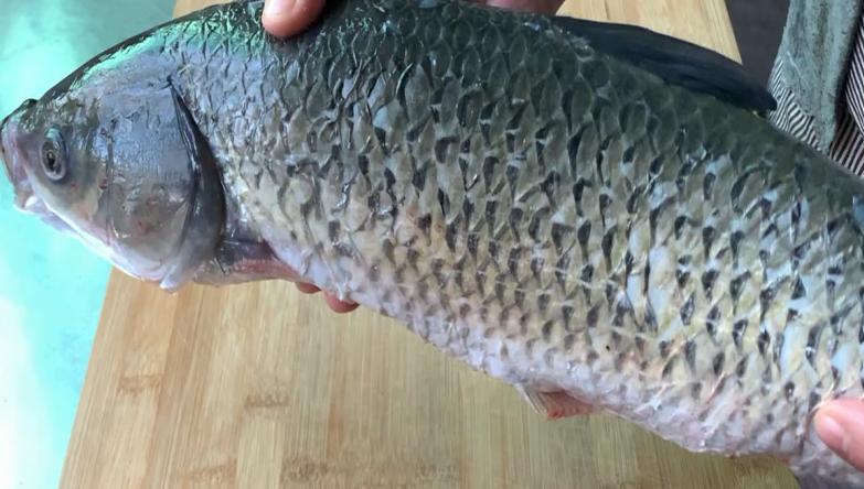 全网最详细草鱼去骨去刺教程,草鱼去刺后有几种做法