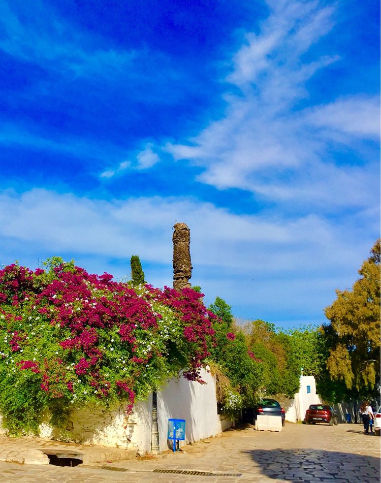 突尼斯市是世界文化之都吗,突尼斯的千年古城