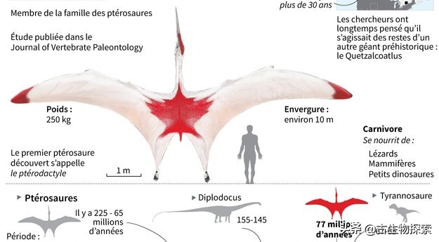 加拿大翼龙图片,加拿大发现恐龙化石