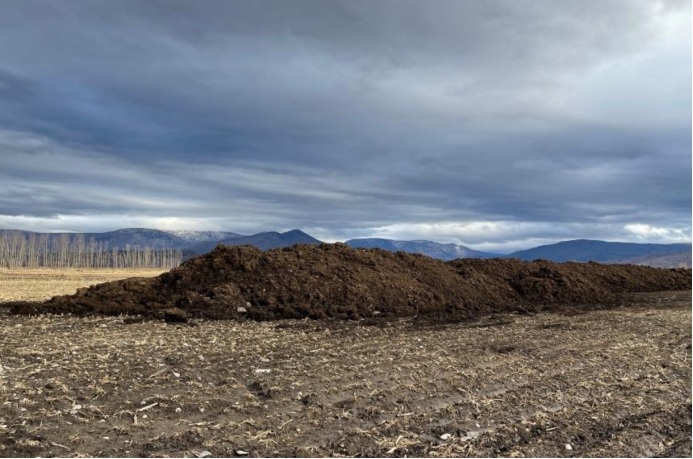 黑龙江黑土地被盗事件,偷黑土被判刑后续