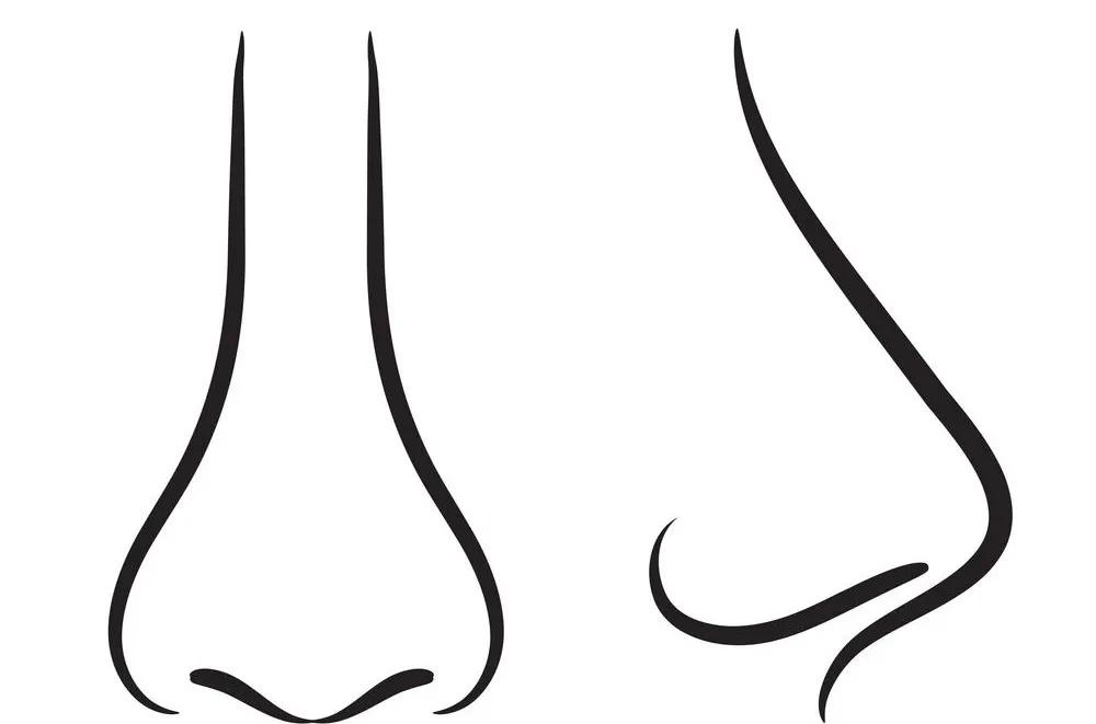 怎样才算是最美的鼻子,颜值最高的四种鼻子型