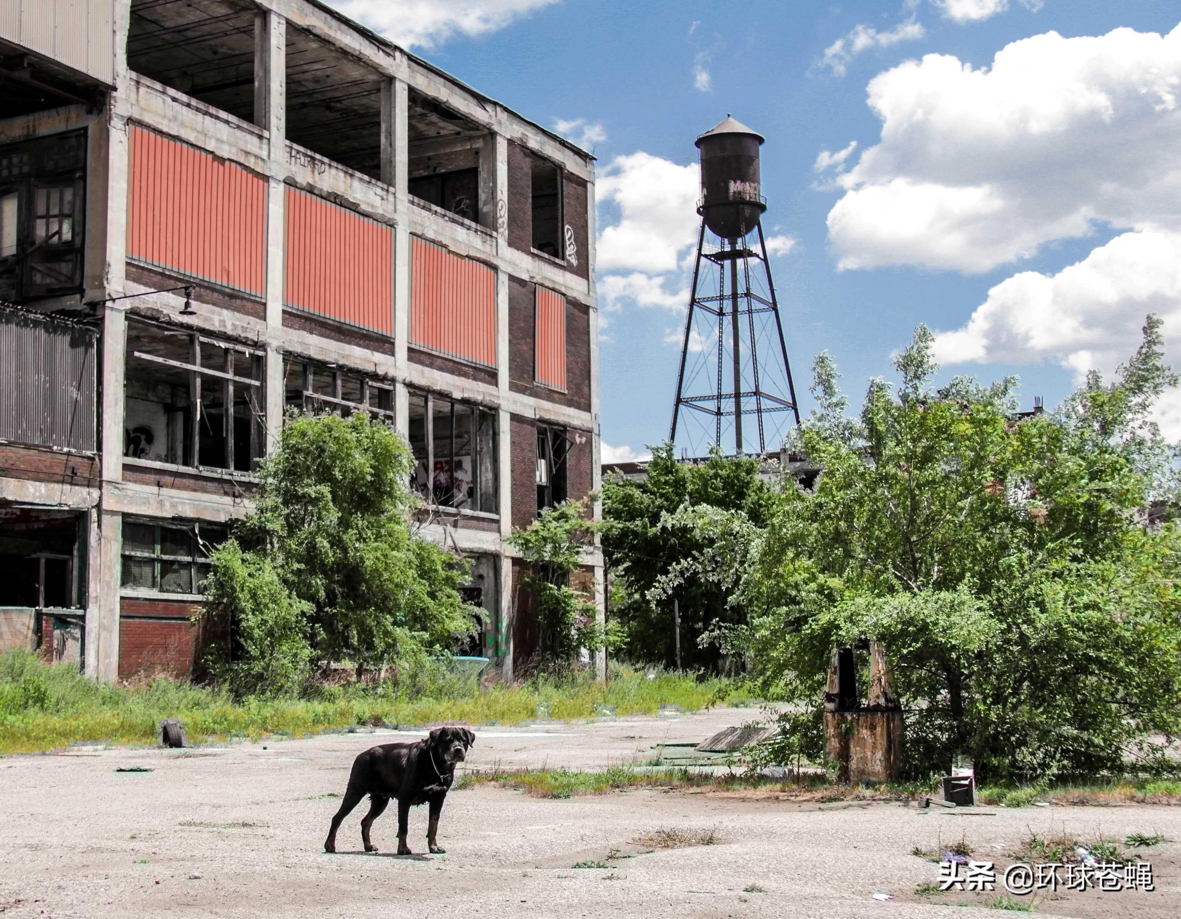 底特律会荒废吗,底特律衰败的缩影
