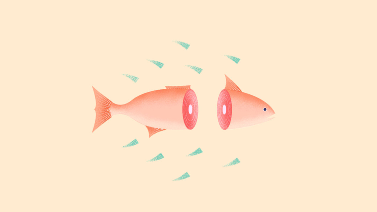 儿童鱼肝油是智商税吗,鱼油和叶黄素是智商税吗