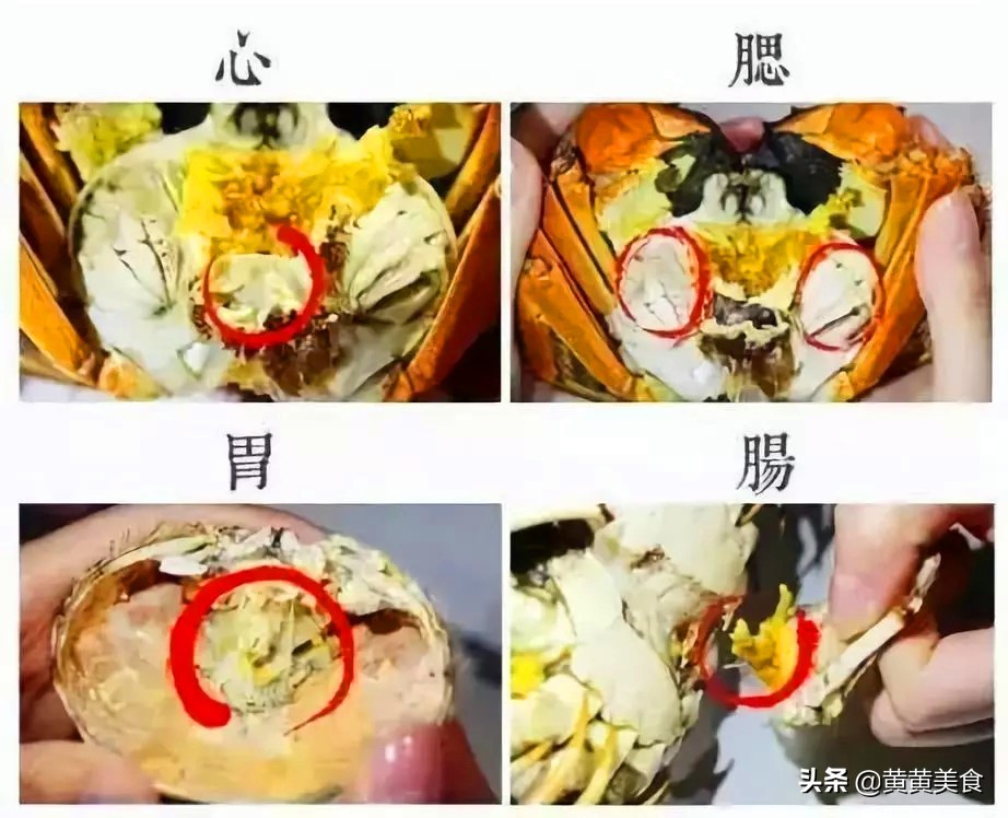 小朋友嫌弃大闸蟹,大闸蟹的蟹肉和蟹黄怎么做最好吃