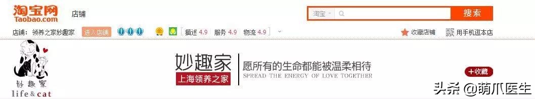 品种猫与土猫的区别,怎么分辨品种猫和土猫