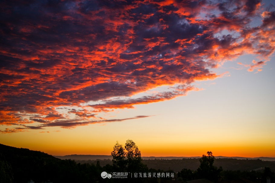 美国加州大学ucla录取条件,ucla加州大学洛杉矶分校女篮