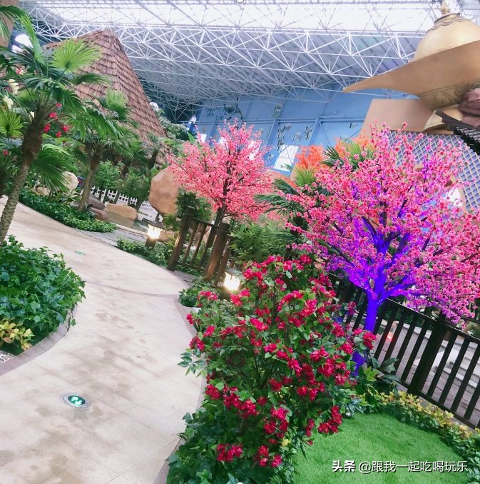 沈阳温泉水世界自助好吗,沈阳温泉池多的温泉