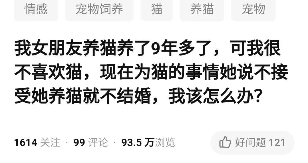 丢掉女朋友养了2年的猫,女朋友要求丢掉养了3年的猫
