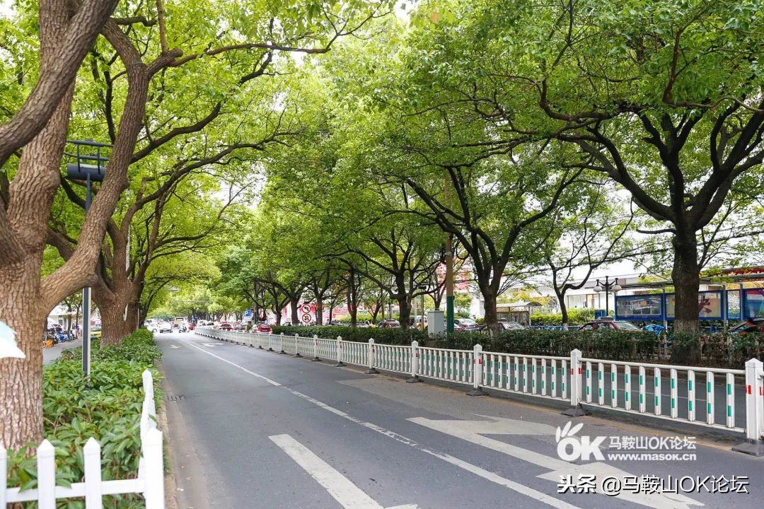 在这条平凡之路,解锁一个老马鞍山人