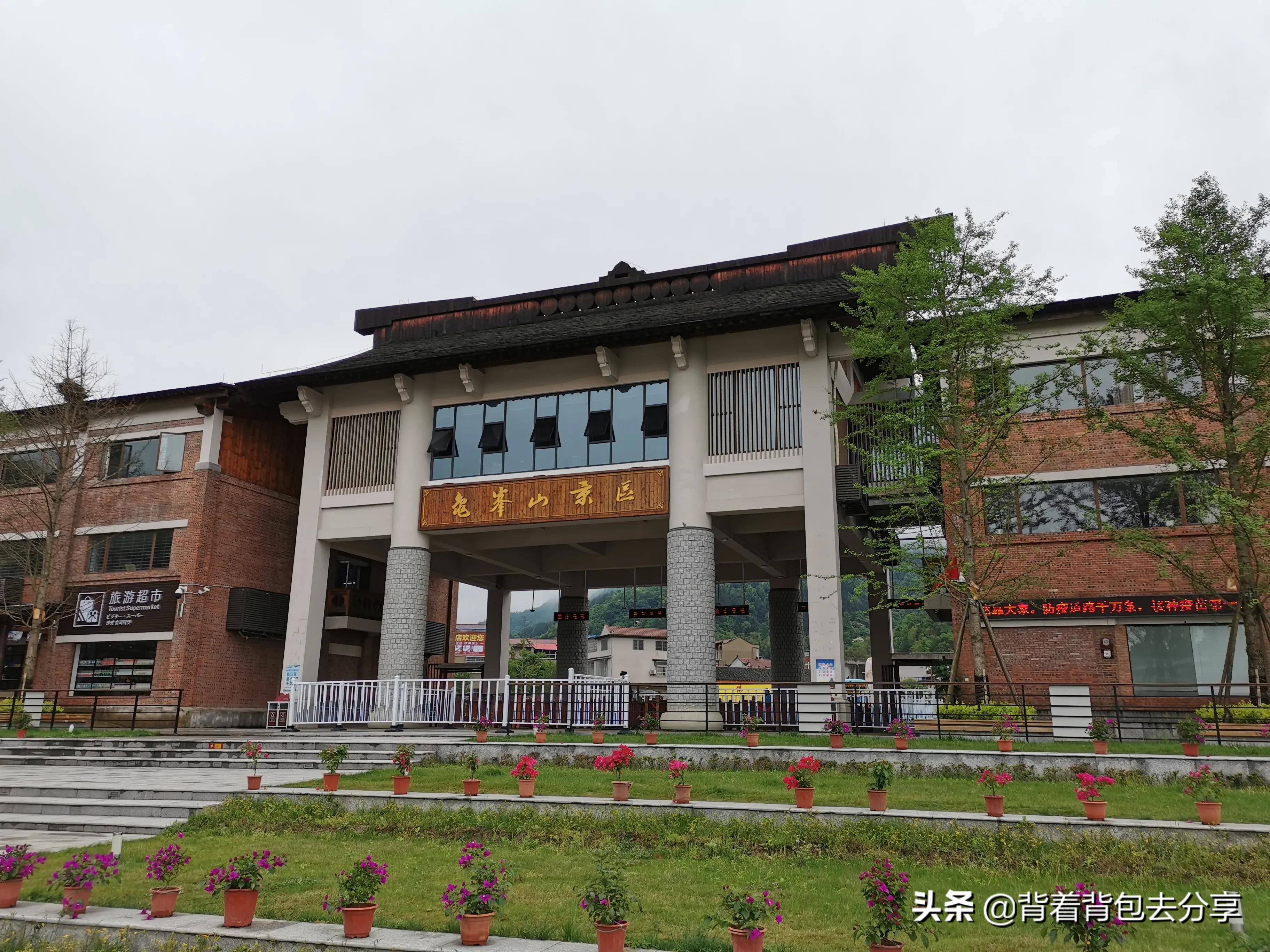 麻城龟峰山古杜鹃,面积最大的杜鹃花景区