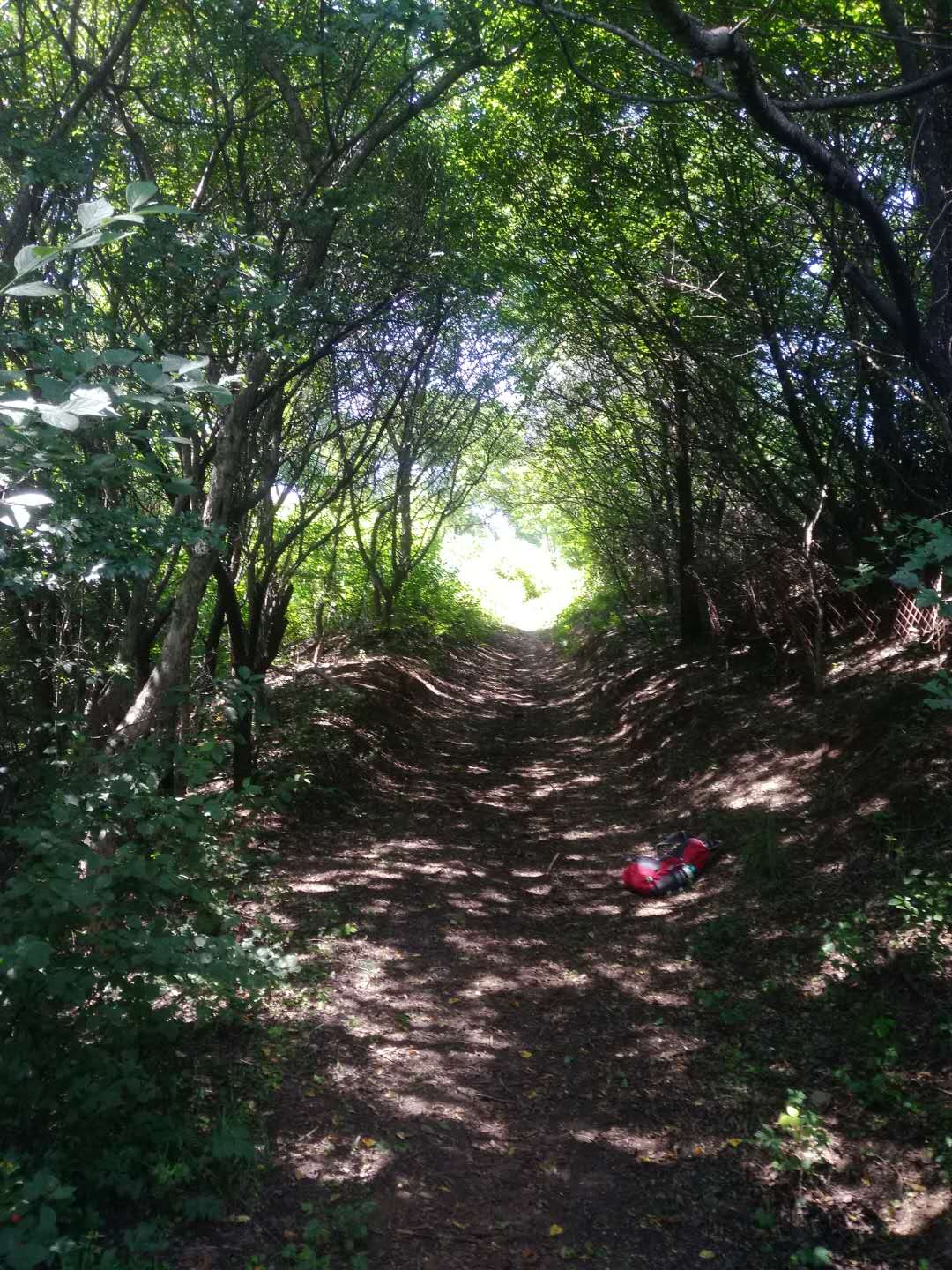 等闲第44章全文阅读,等闲三十六章小说