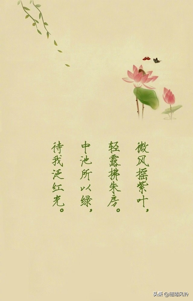 荷花出淤泥而不染全诗,满池荷花出淤泥而不染诗句