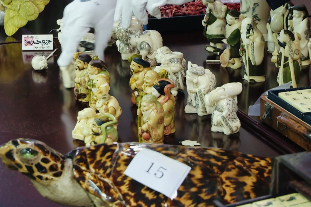 奇葩变形动物玩具,奇葩玩具变形动物