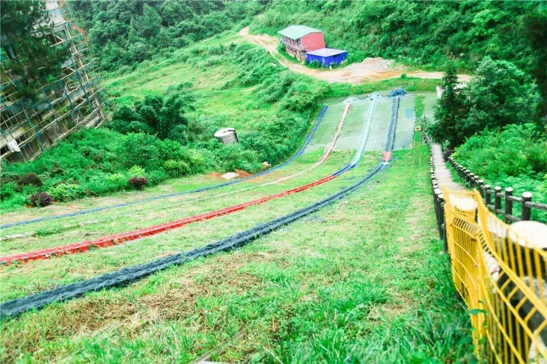 贵阳最快到达的“树屋王国”，一个童话照进现实的地方