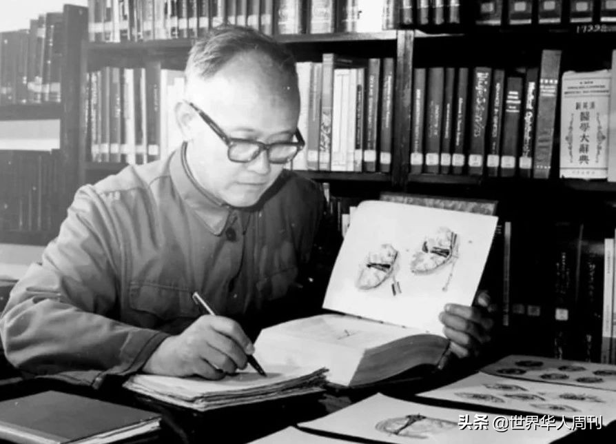 医学夫妇双双捐献遗体：有一种爱，死亡也不能将其分开