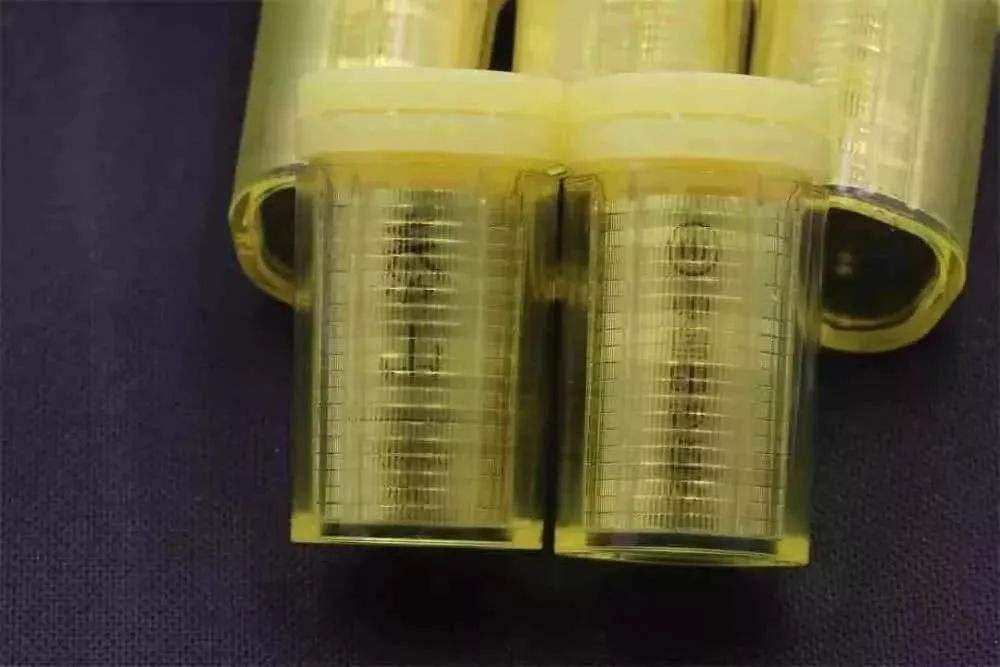 武夷山纪念币最新预售,武夷山纪念币发布公告