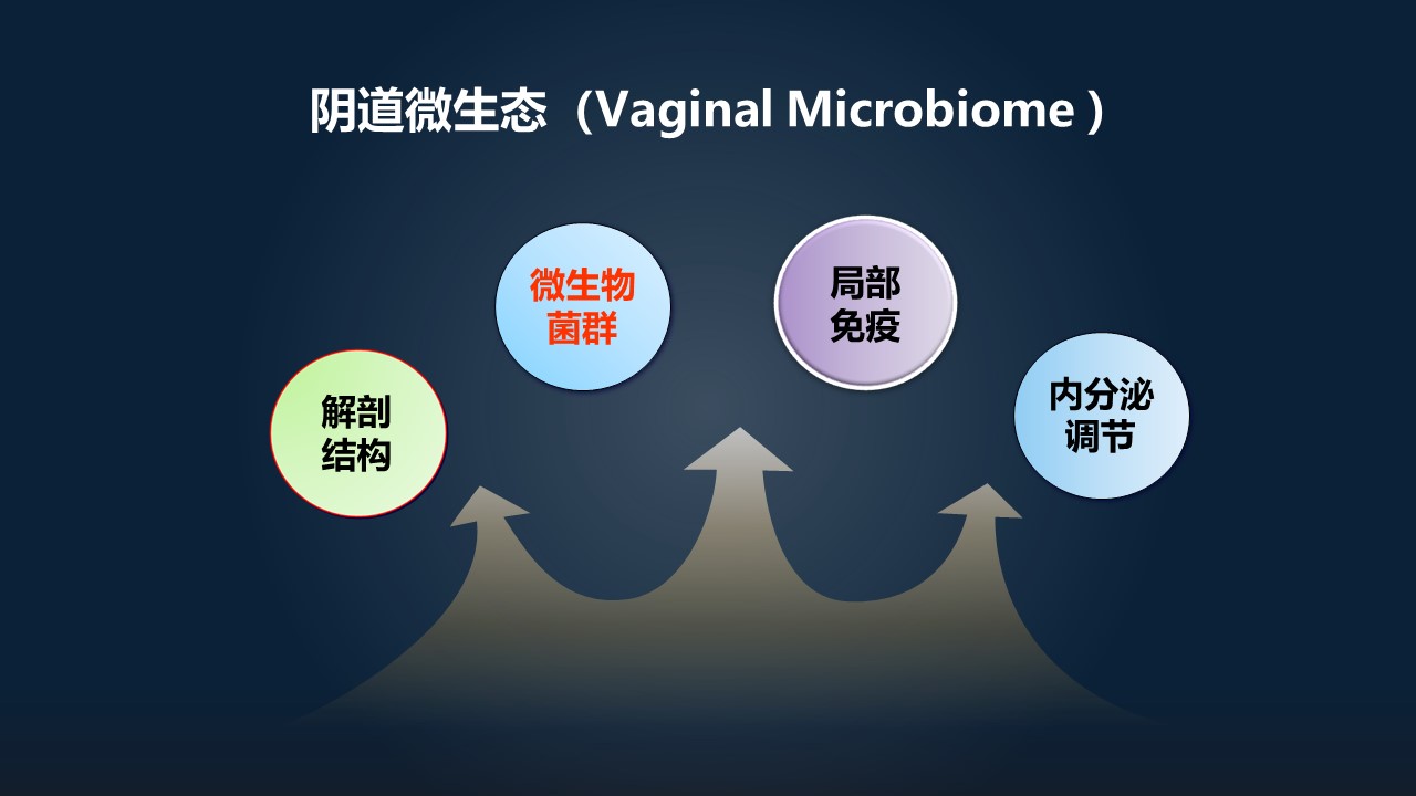 肖冰冰的小视频,肖冰冰讲的12生肖