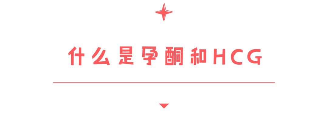 从孕酮和hcg如何判断怀孕,根据孕酮和hcg怎么判断是否怀孕