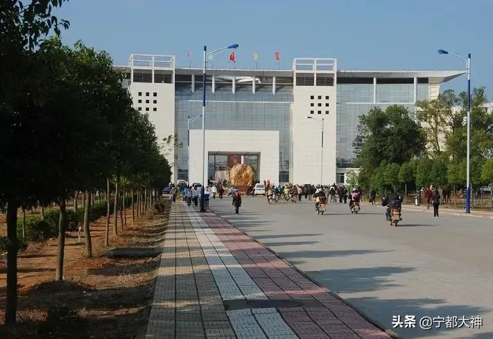 赣州几所重点高中,江西赣州重点高中有哪些