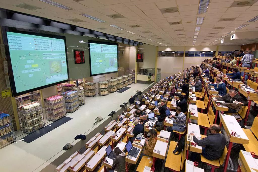 花卉市场卖花和鲜花店卖花,最繁华的花卉市场