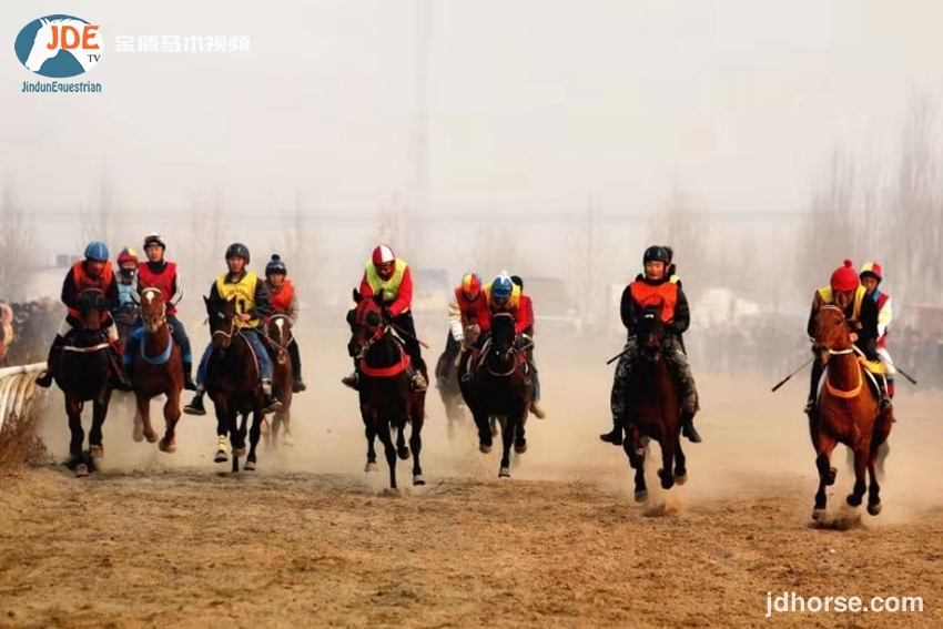 马术速度公开赛,2019年全国马术锦标赛
