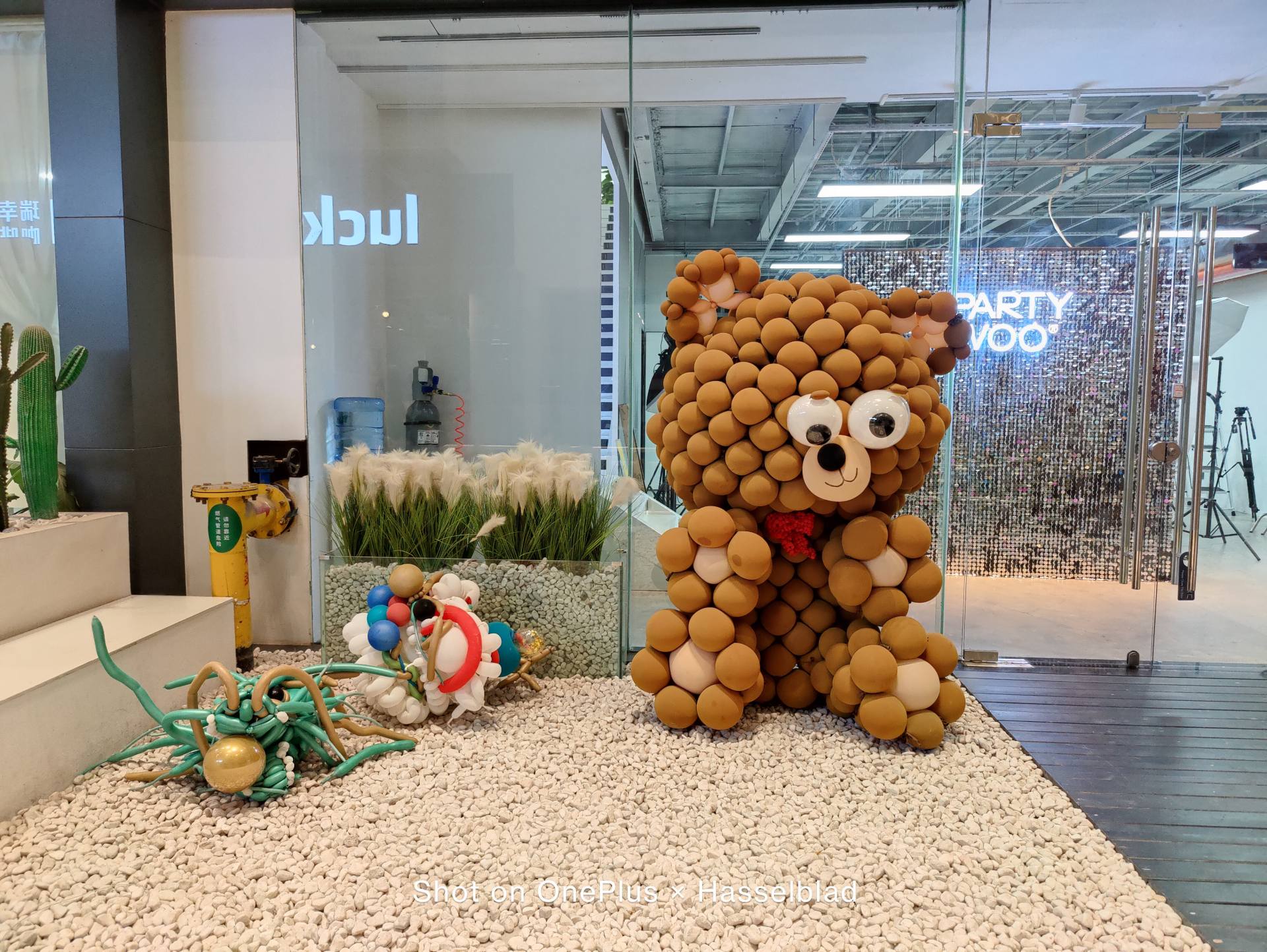 一加9pro和苹果11pro哪个值得入手,一加9pro用一年真实感受