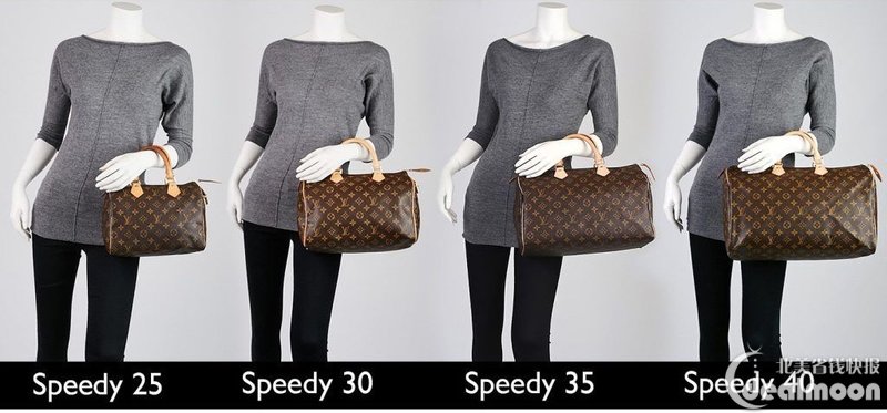 今年流行的lv包包款式,正品lv女包经典款louisvuitton多少钱