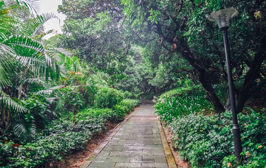 哪里叫南油,南油地铁站