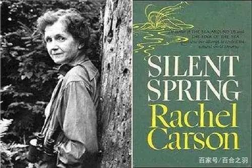 第一本揭示化学与环境关系的著作《寂静的春天》