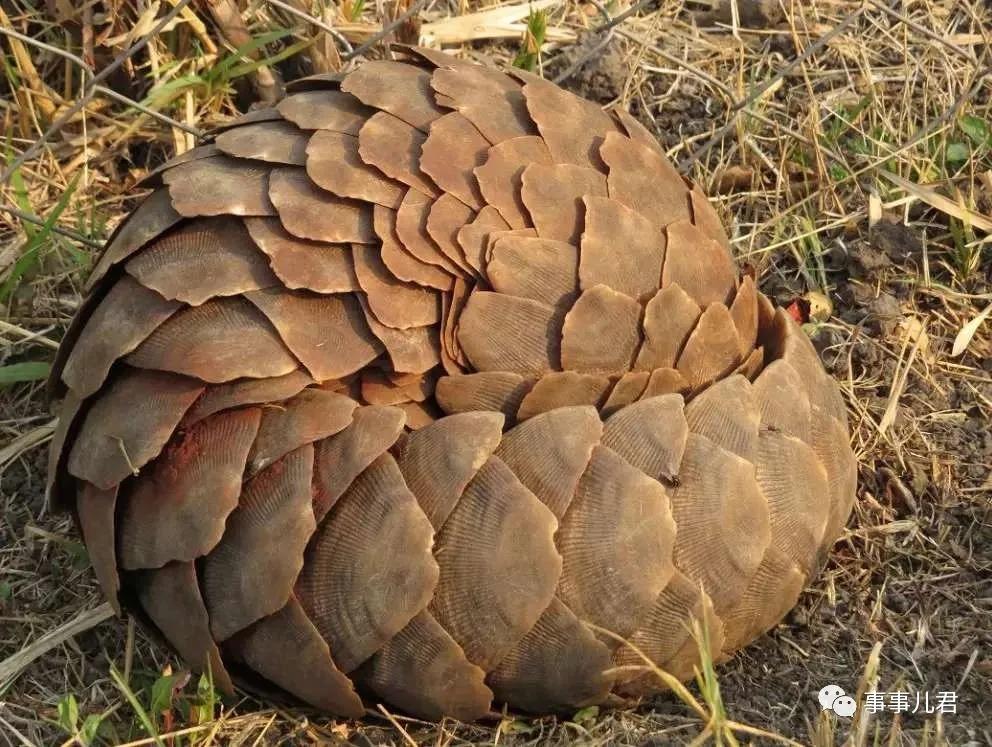 大自然的回馈视频,大自然的回馈是什么