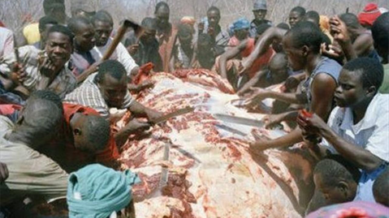 非洲资源丰富，人口众多，为什么没有形成一个统一的大帝国？