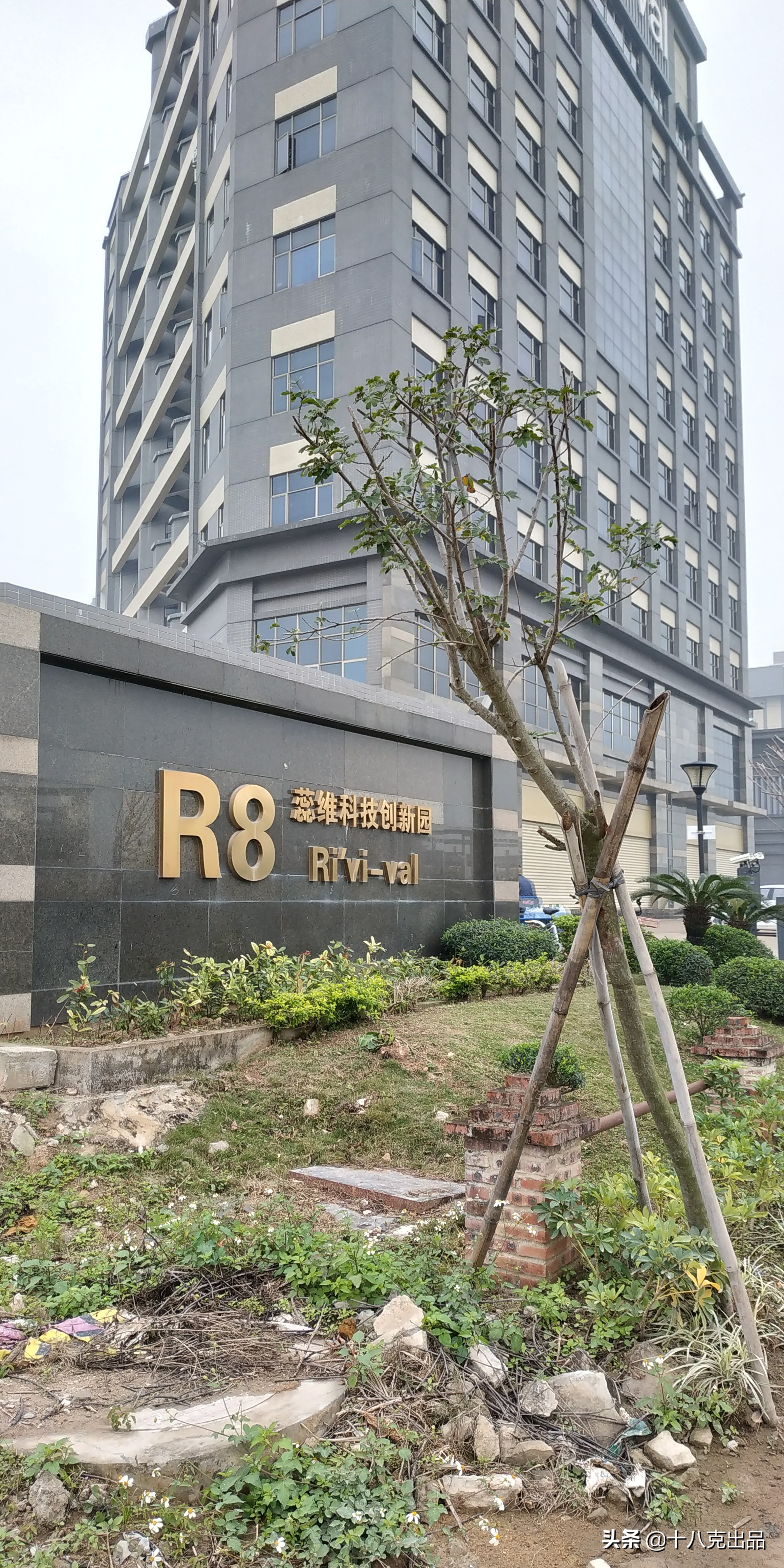 广州e代驾面试流程,e代驾面试后需要交多少钱