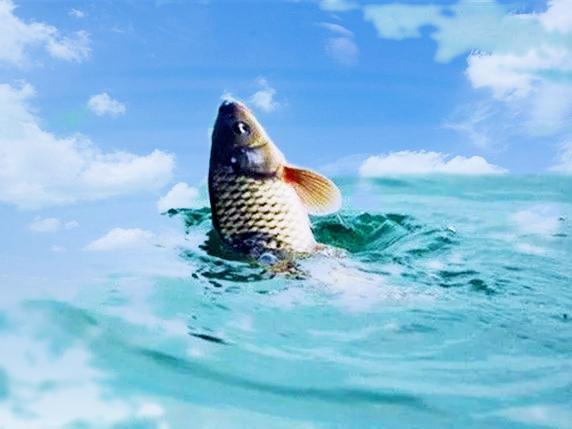 钓鱼遇到的奇葩趣事,钓鱼生涯中遇到的事