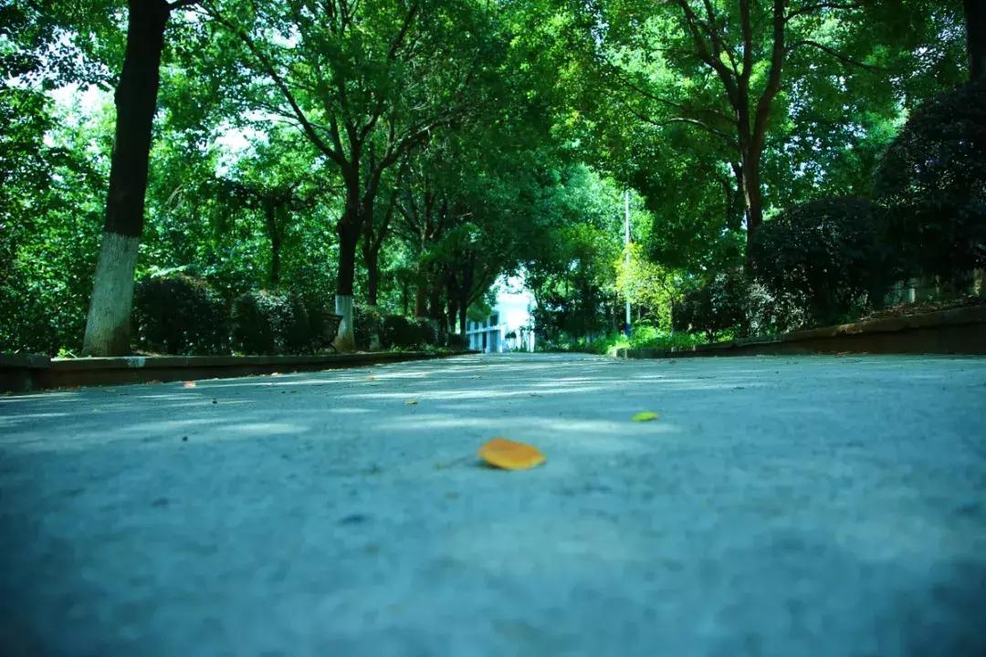 集训营日常｜拒绝“积极废人”，他们的蜕变正在发生