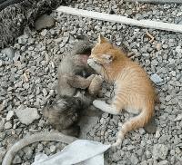 搞笑gif开心一刻单身也挺好,搞笑gif开心视频