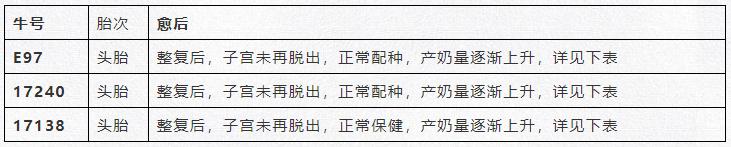 牛子宫脱出整复后死亡原因,奶牛子宫脱出治疗方法
