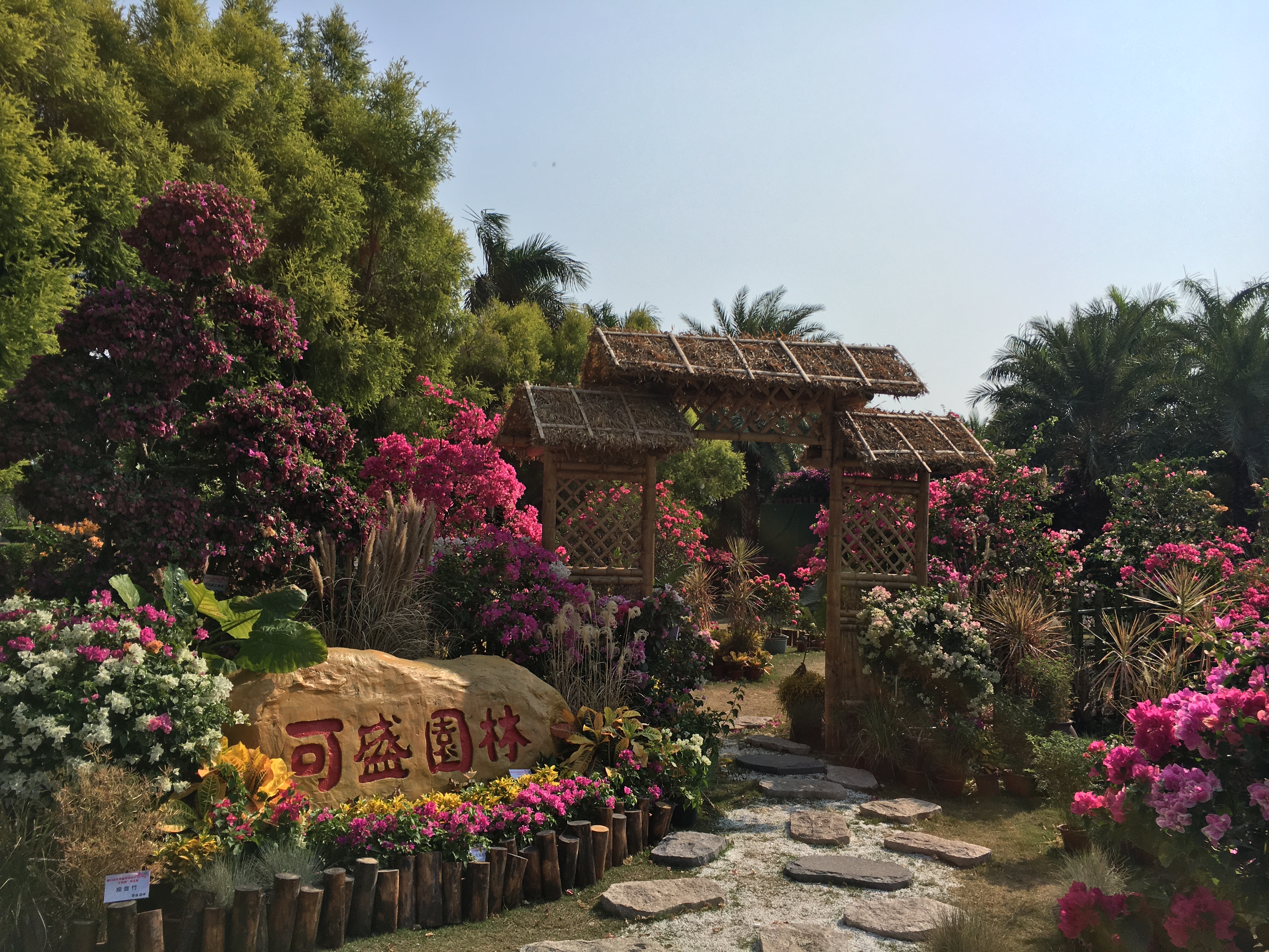 园博园旅行年卡 (旅游年卡 园博园)