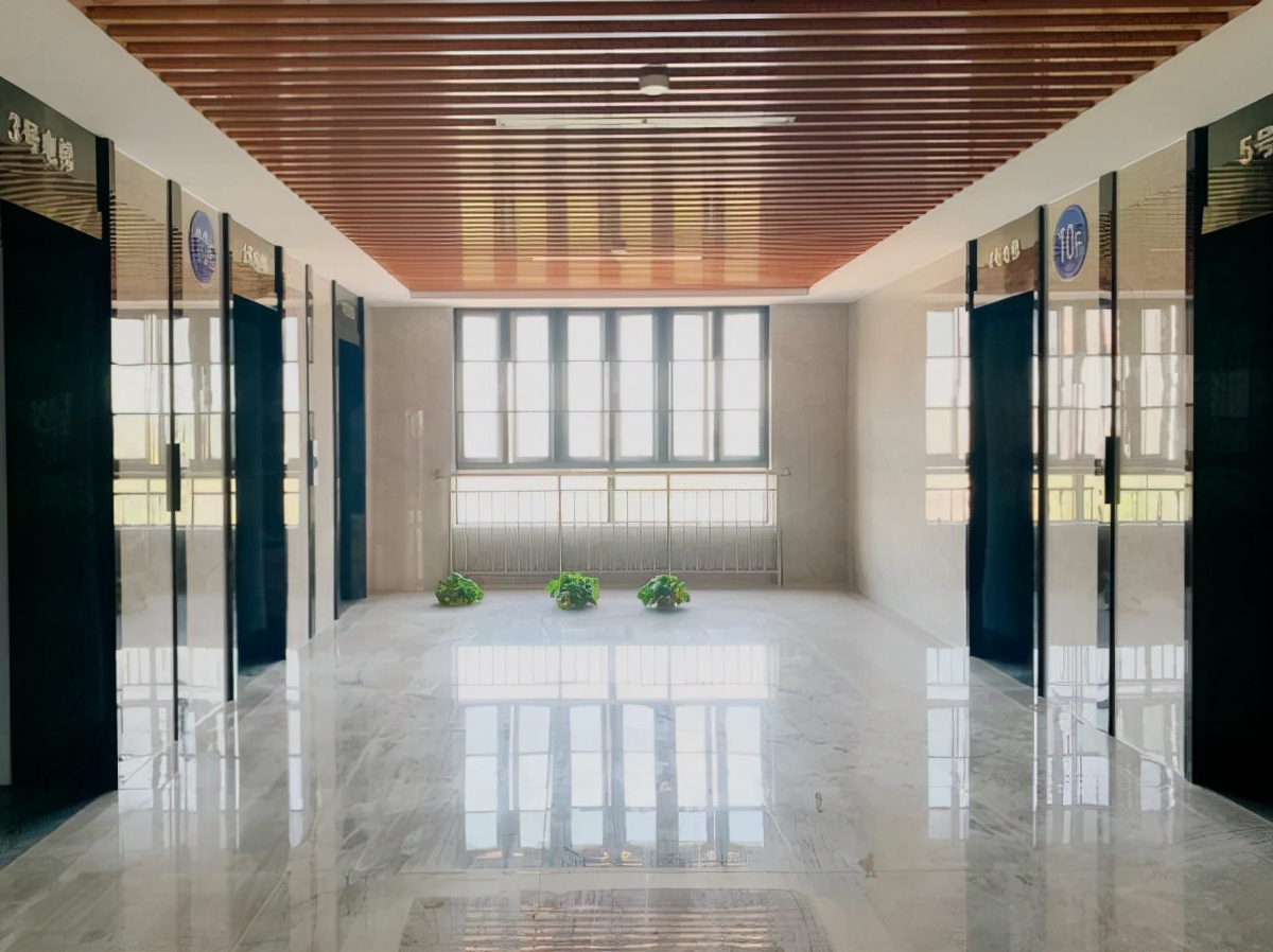 武大毕业宿舍,武大樱花宿舍楼