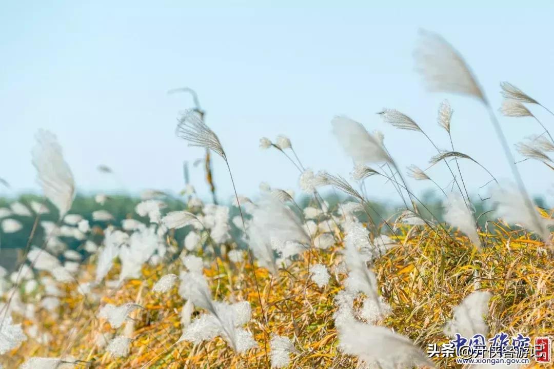 去雄安必须去的几个地方,雄安可以游览的地方