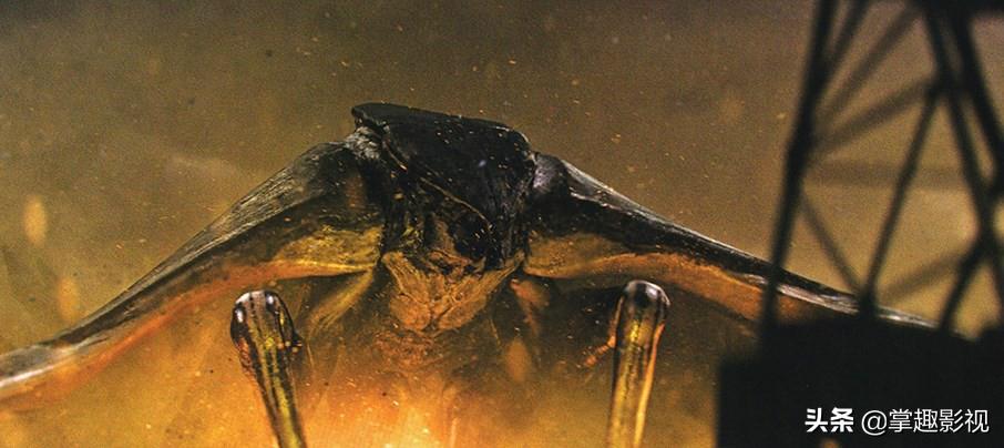 每个人心中都有一个怪物,哥斯拉为什么被称为怪兽之王