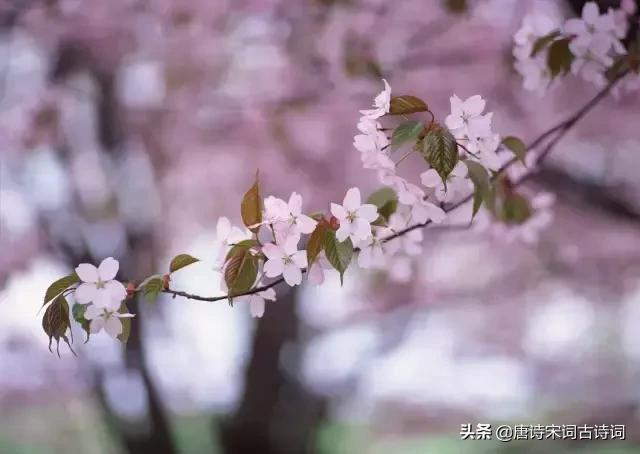 颠覆认知的古诗,颠覆认知脑洞大开的语句