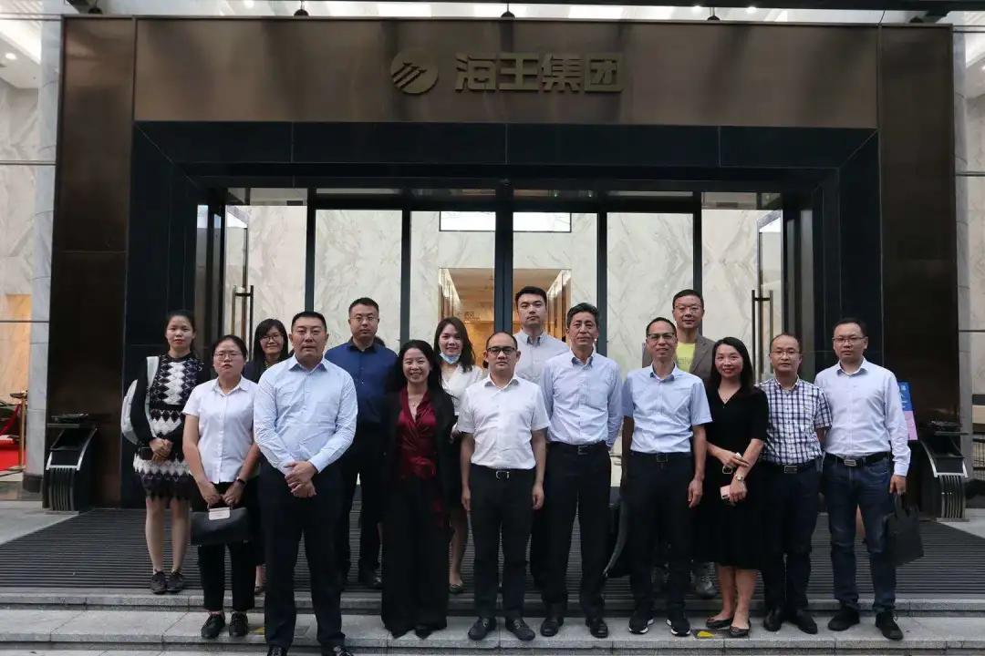 海王医药规划,海王医药发展前景