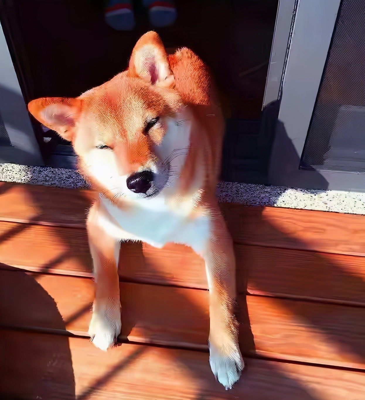 宠妻不手软，周渝民购上亿豪宅写妻子名，一面玻璃墙价格就要上万