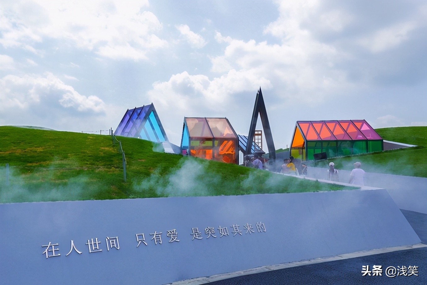 芬芳之人方能遇到芬芳之心，郁金香开成了荷兰花海