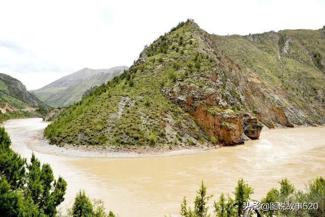 “疯狂”虫草一根卖到30元，中国最大虫草地，5月开挖孩子放假