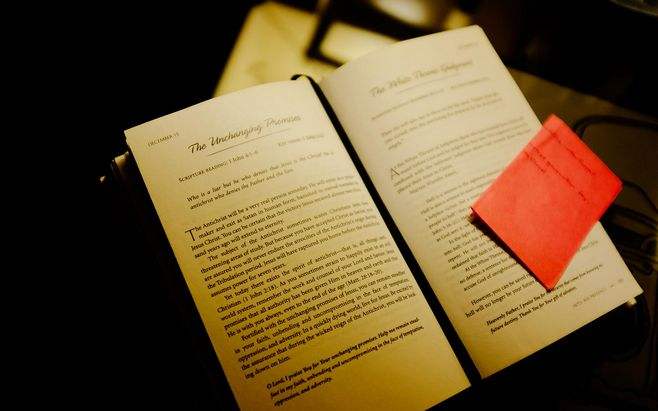 睡前别看手机了，不如收下这份高质量书单