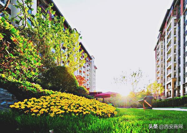 碧桂园“浐灞双星”闪耀||于城市浮尘中筑一处世外桃源