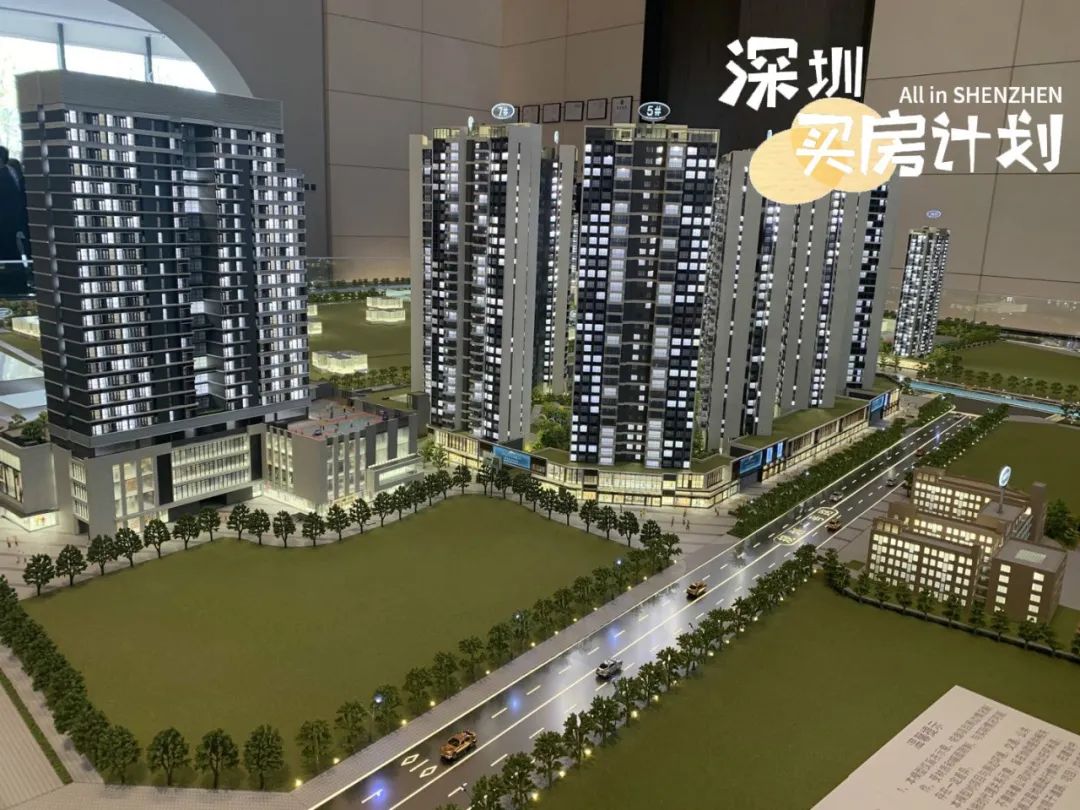 深圳目前值得打新的楼盘,深圳12月打新火爆新盘