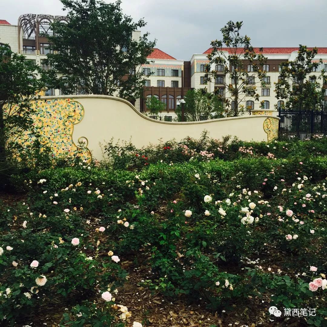 上海迪士尼酒店加乐园全攻略,上海迪士尼乐园酒店官网预订