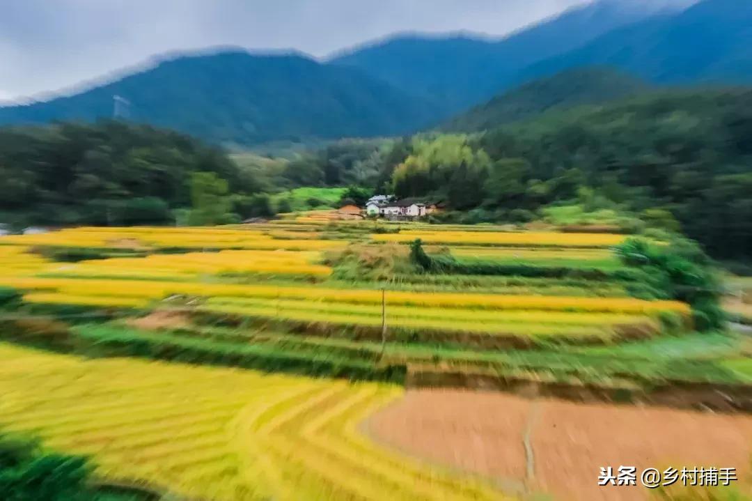 南粤古驿道拍摄后记,2018南粤古驿道展示